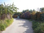 Easy, leisurely walks in the coastal plain and low lying areas of Nerja and Maro.