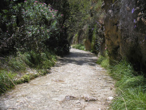 Section of the Chillar river walk.