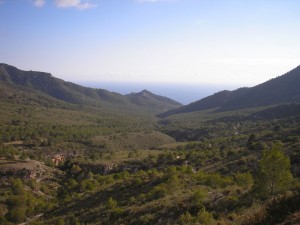 Pinarillo-valley 