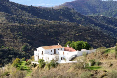 Day 2: Traditional cortijo and farmstead (then overnight in Acebuchal)